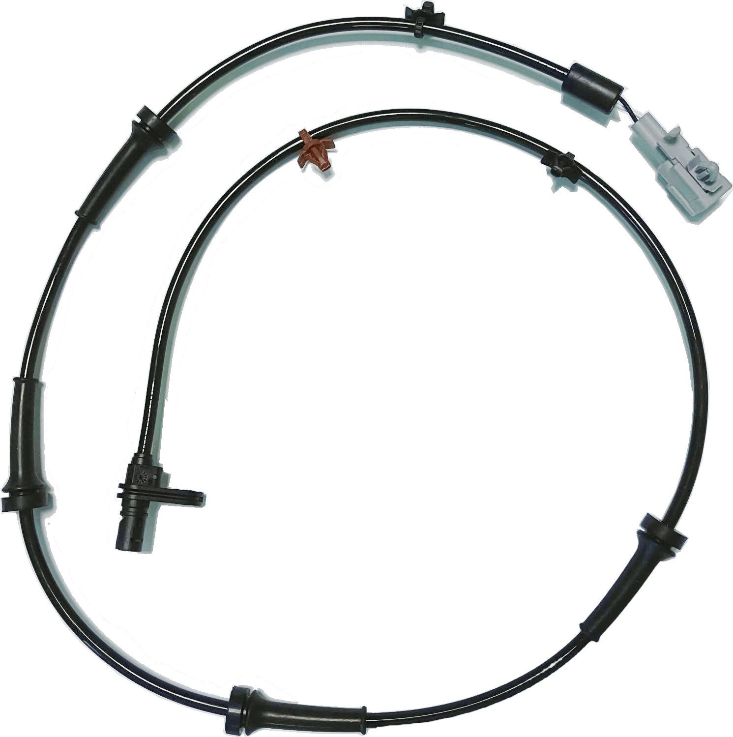 GBS7035