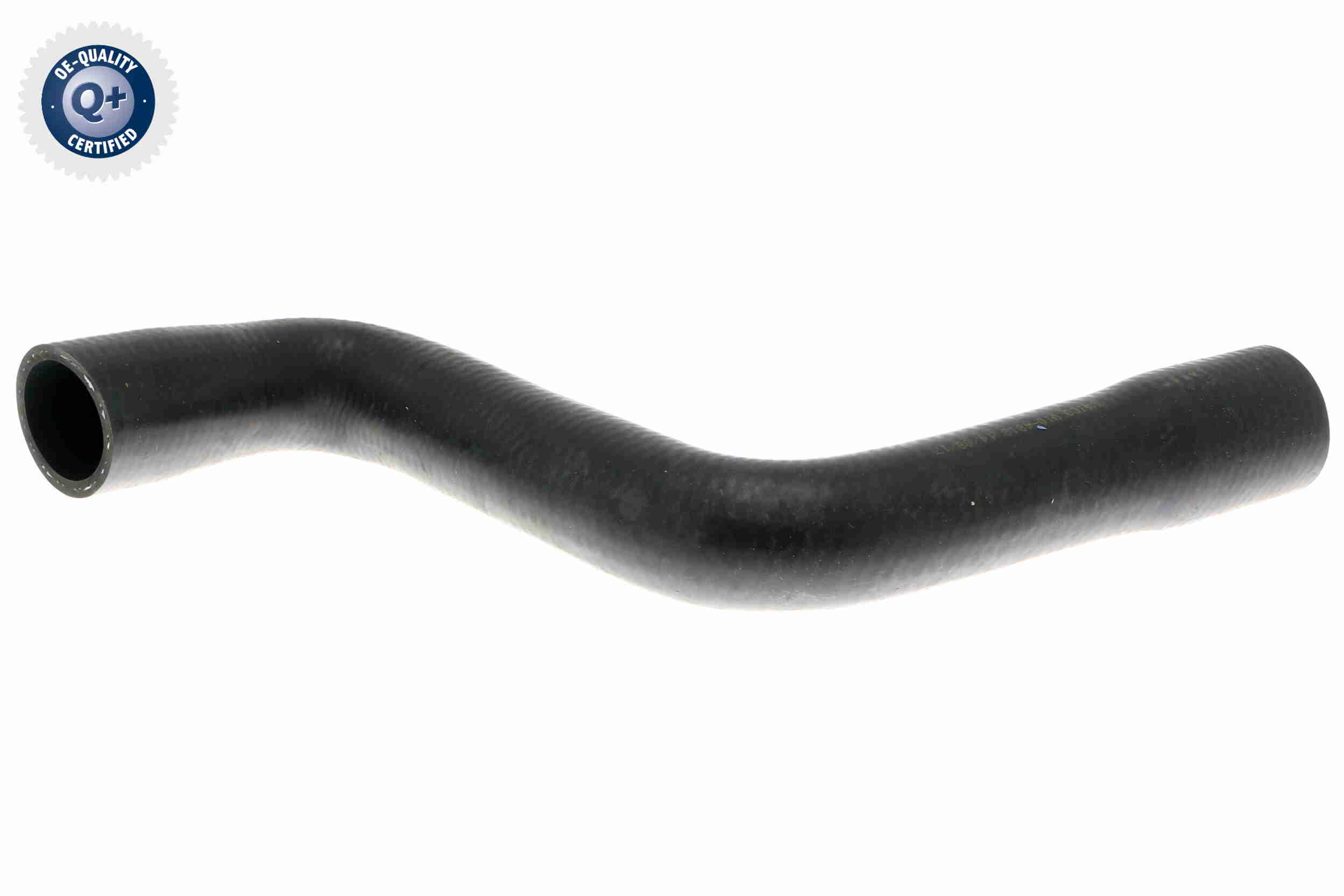 V10-4813