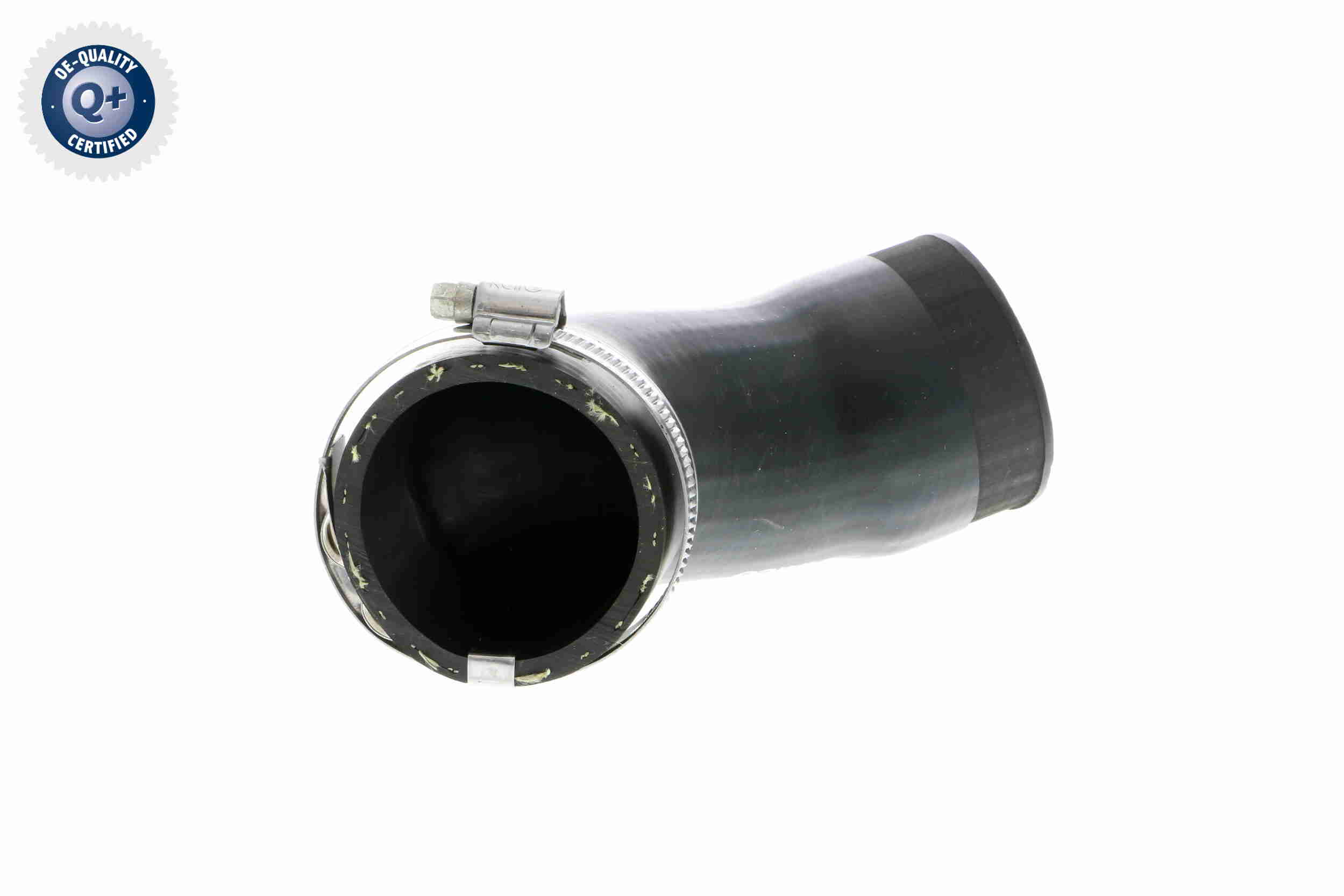 V10-2831