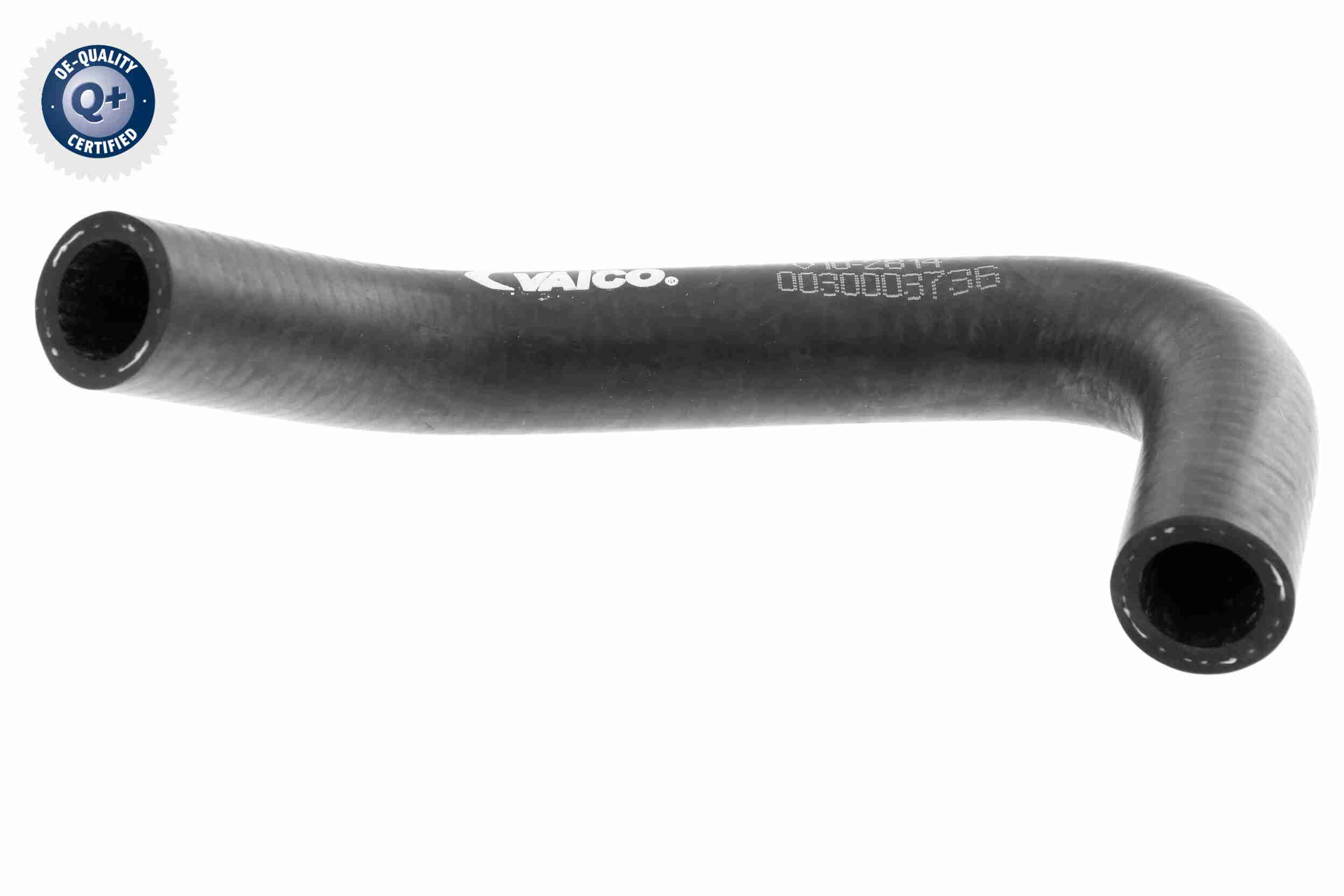 V10-2814