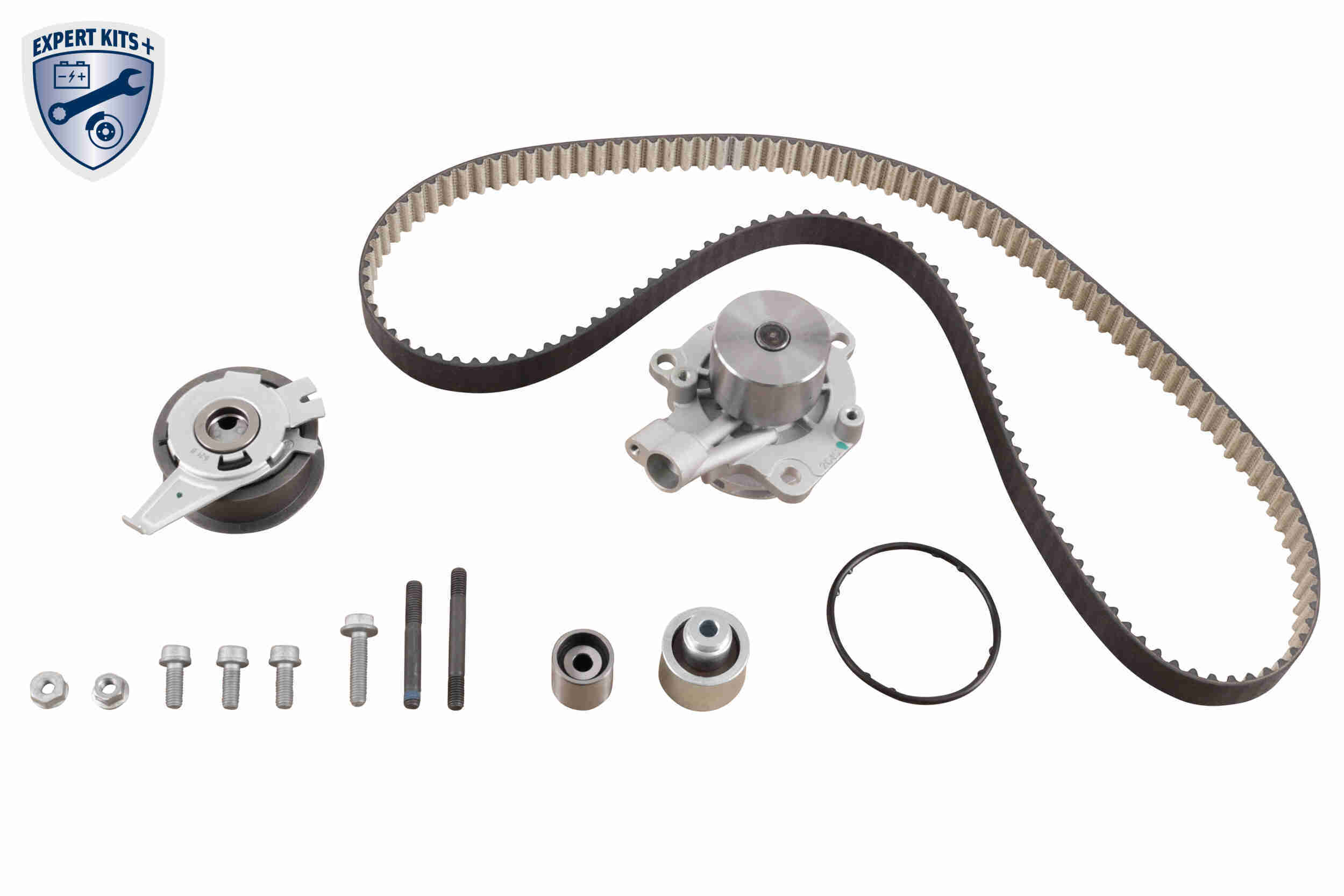 V10-50113-BEK