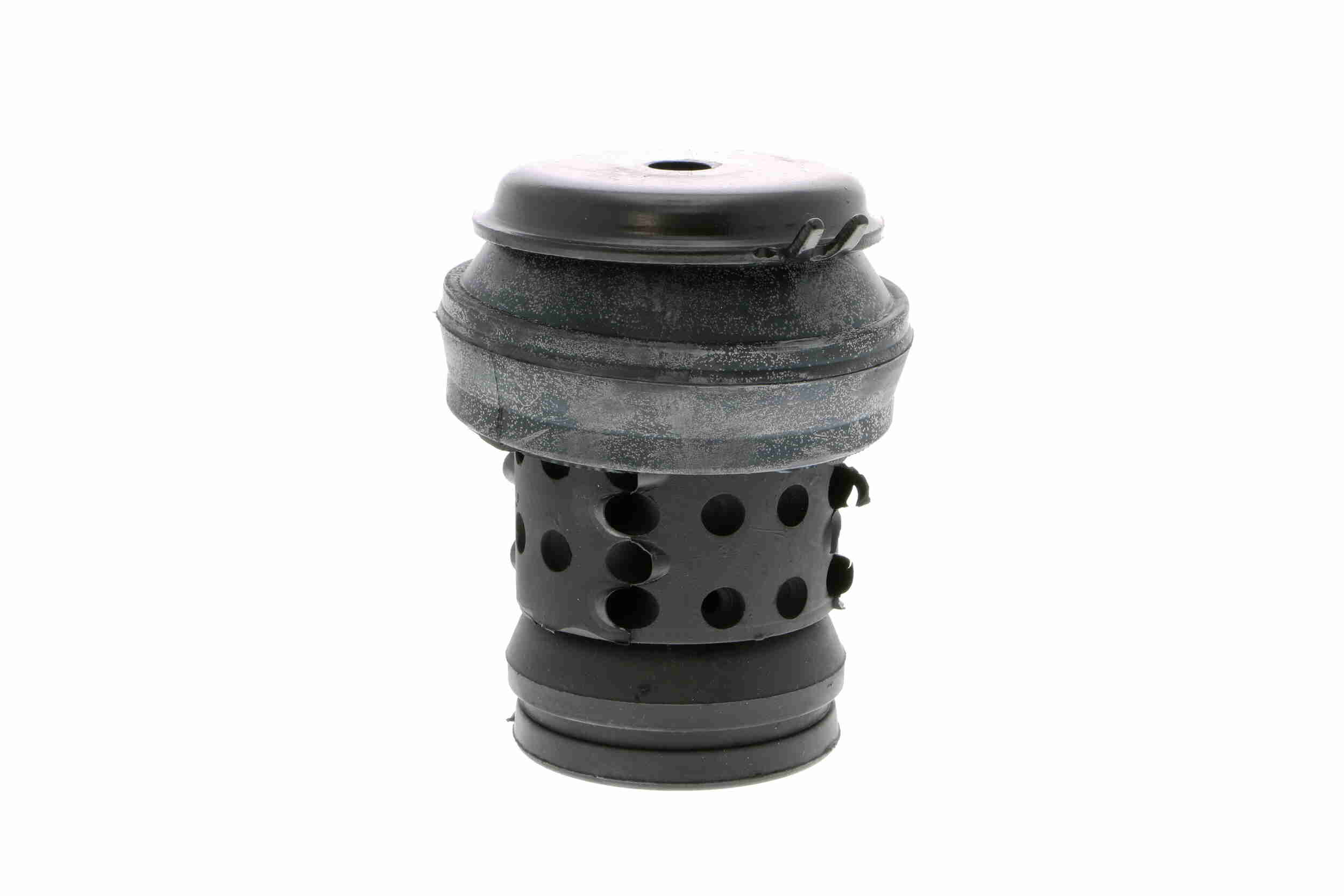 V10-1181