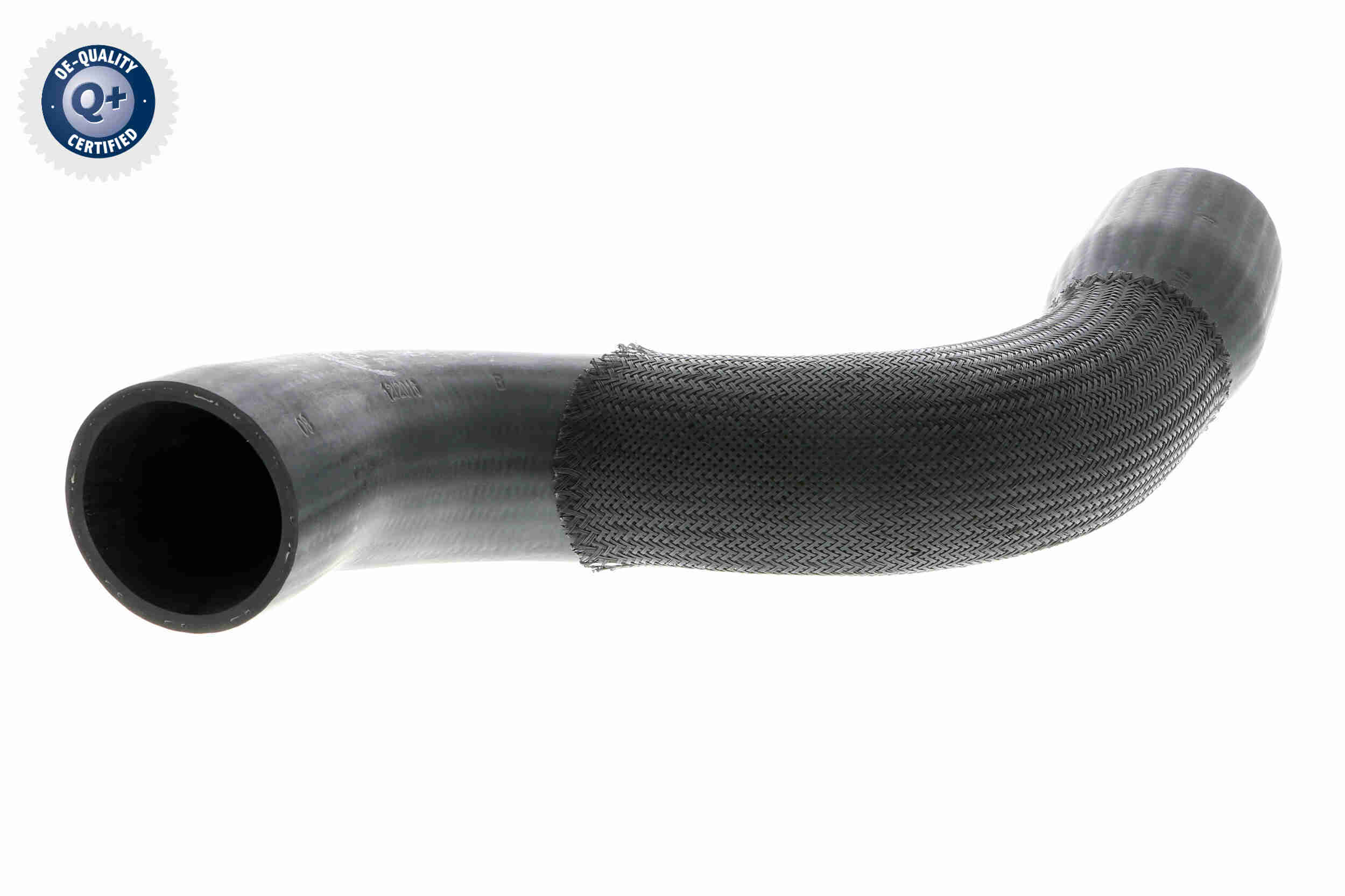 V10-3831