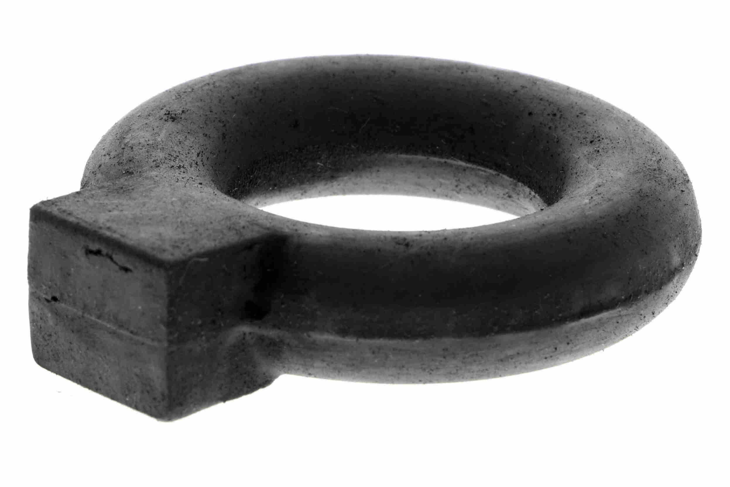 V10-1006