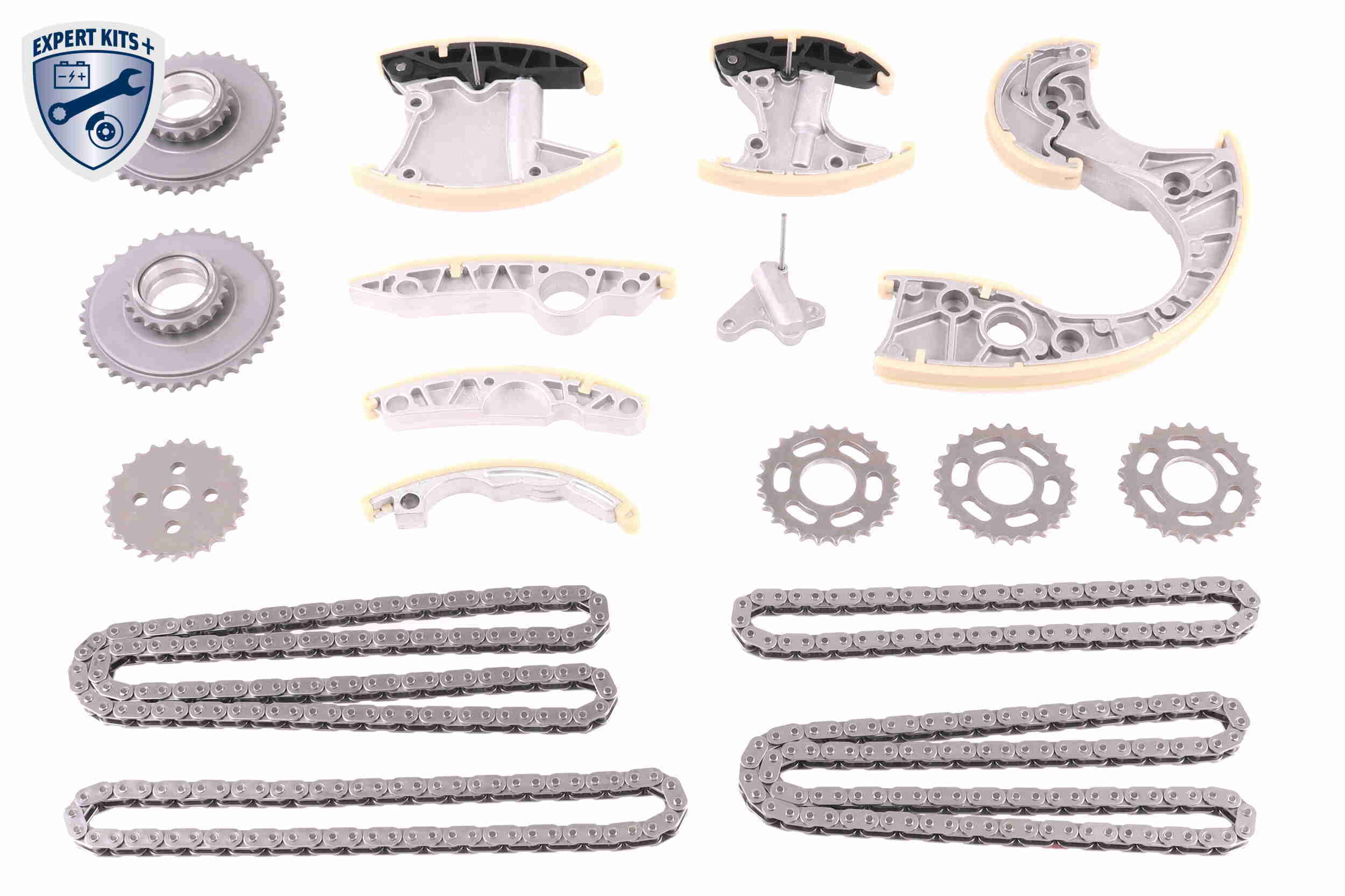 V10-10020