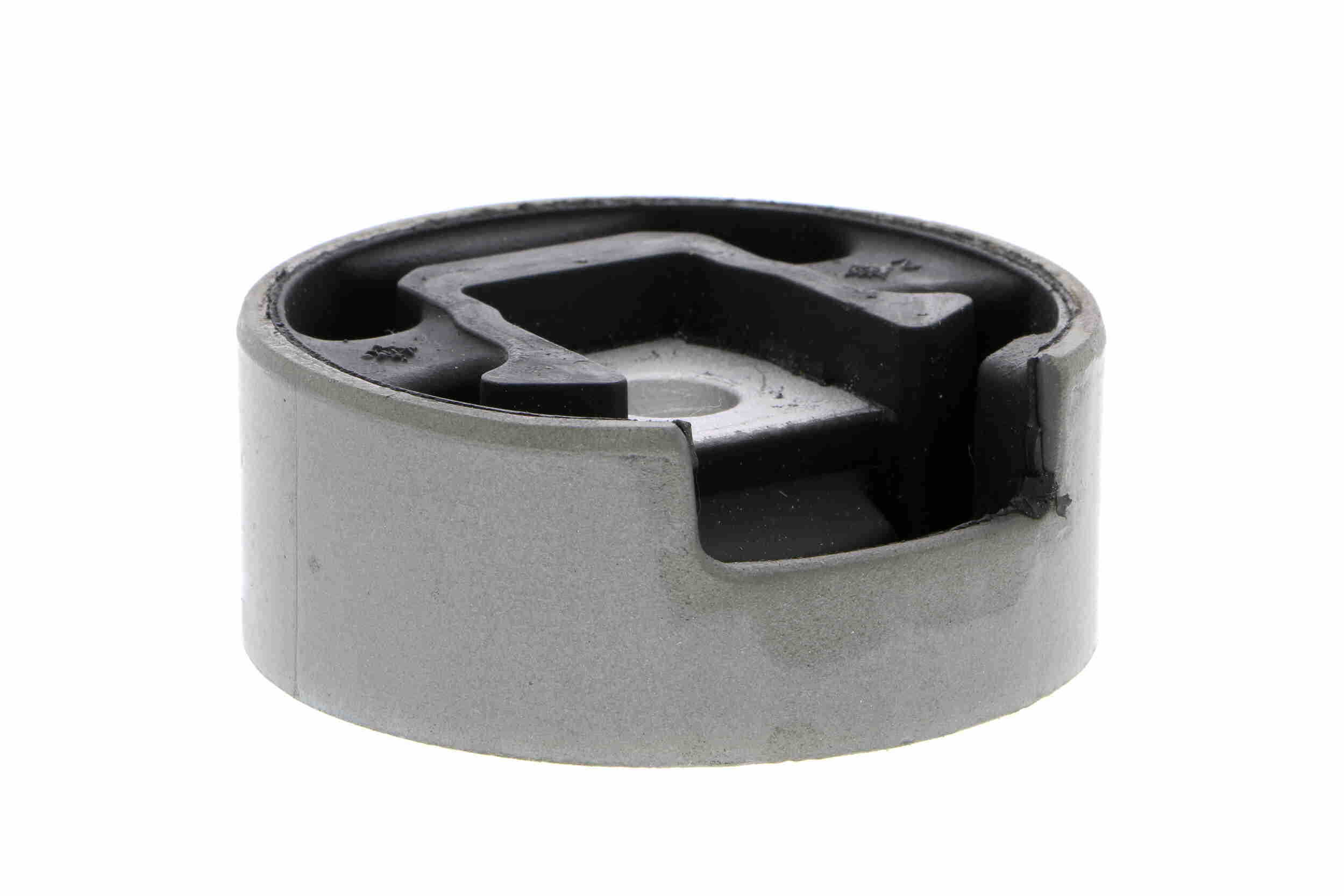 V10-1557
