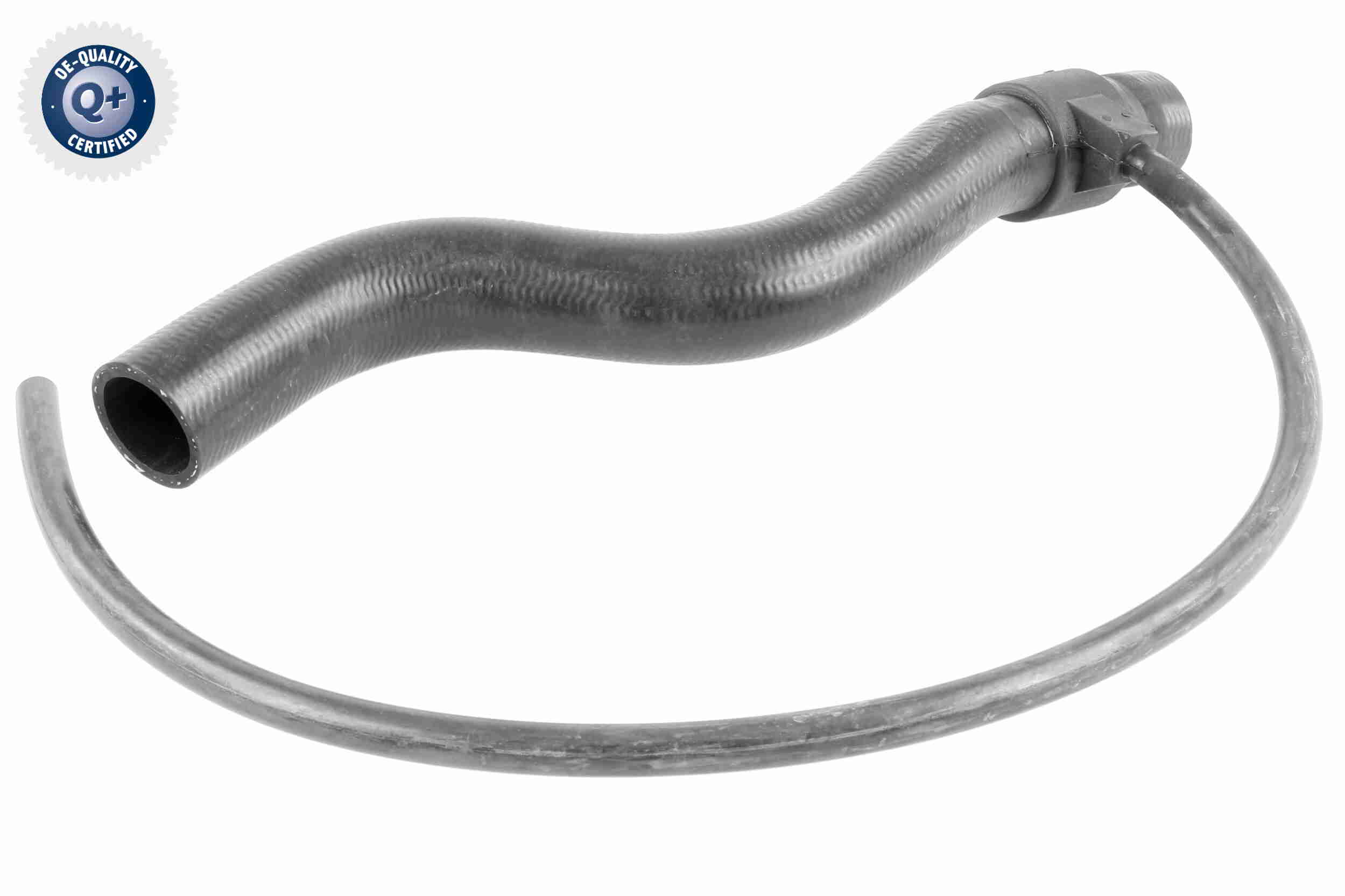 V10-3198