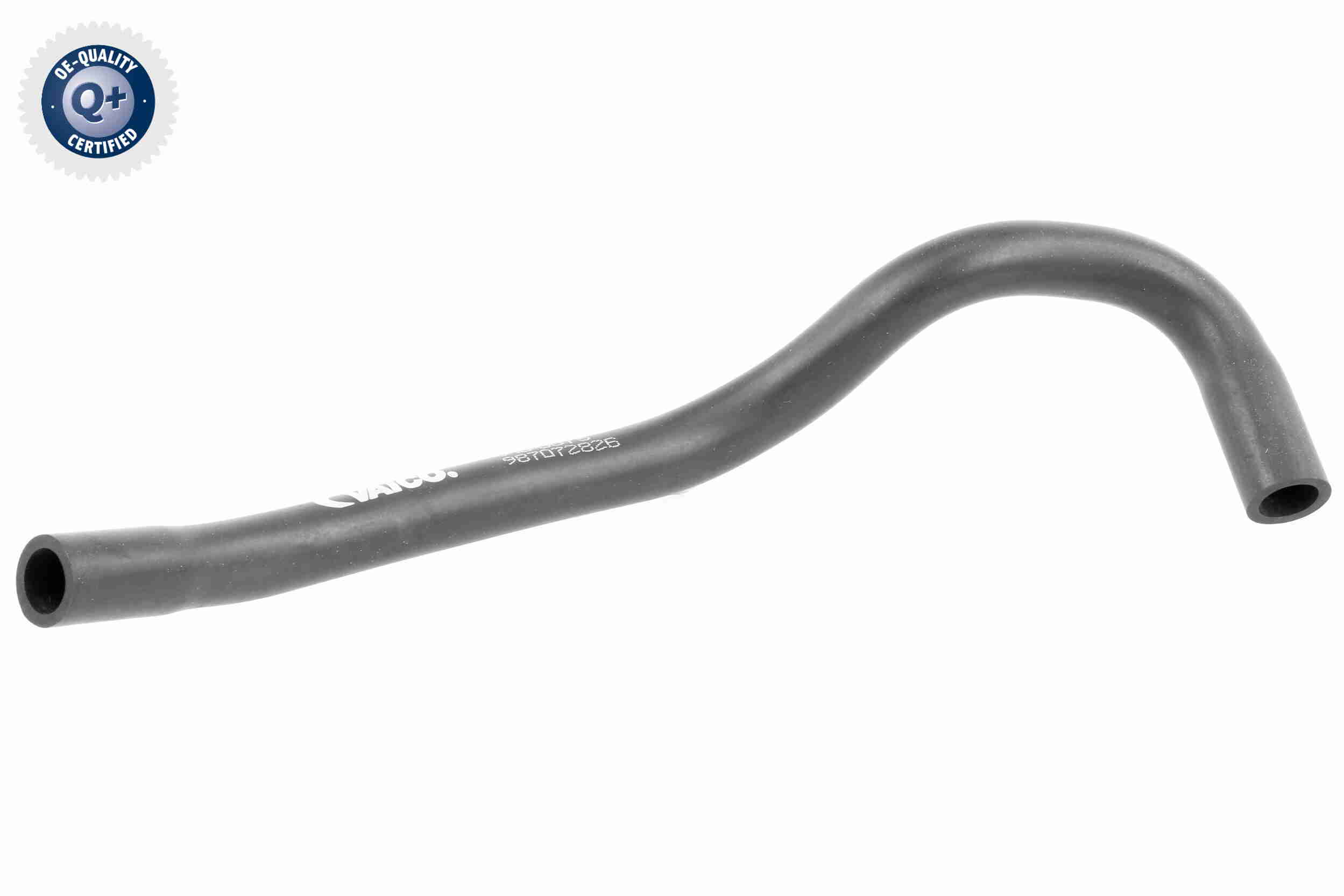 V10-0075