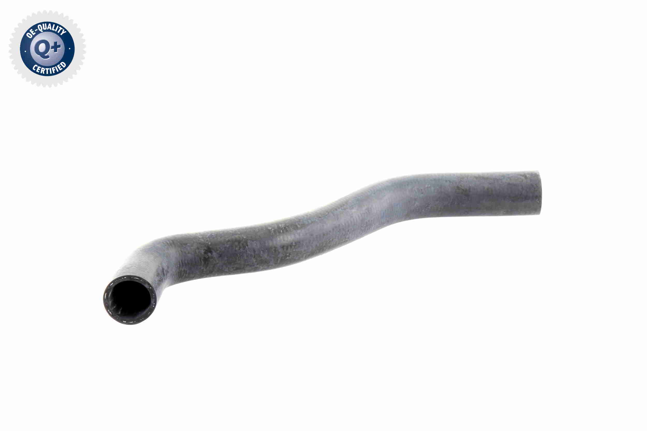 V10-0061