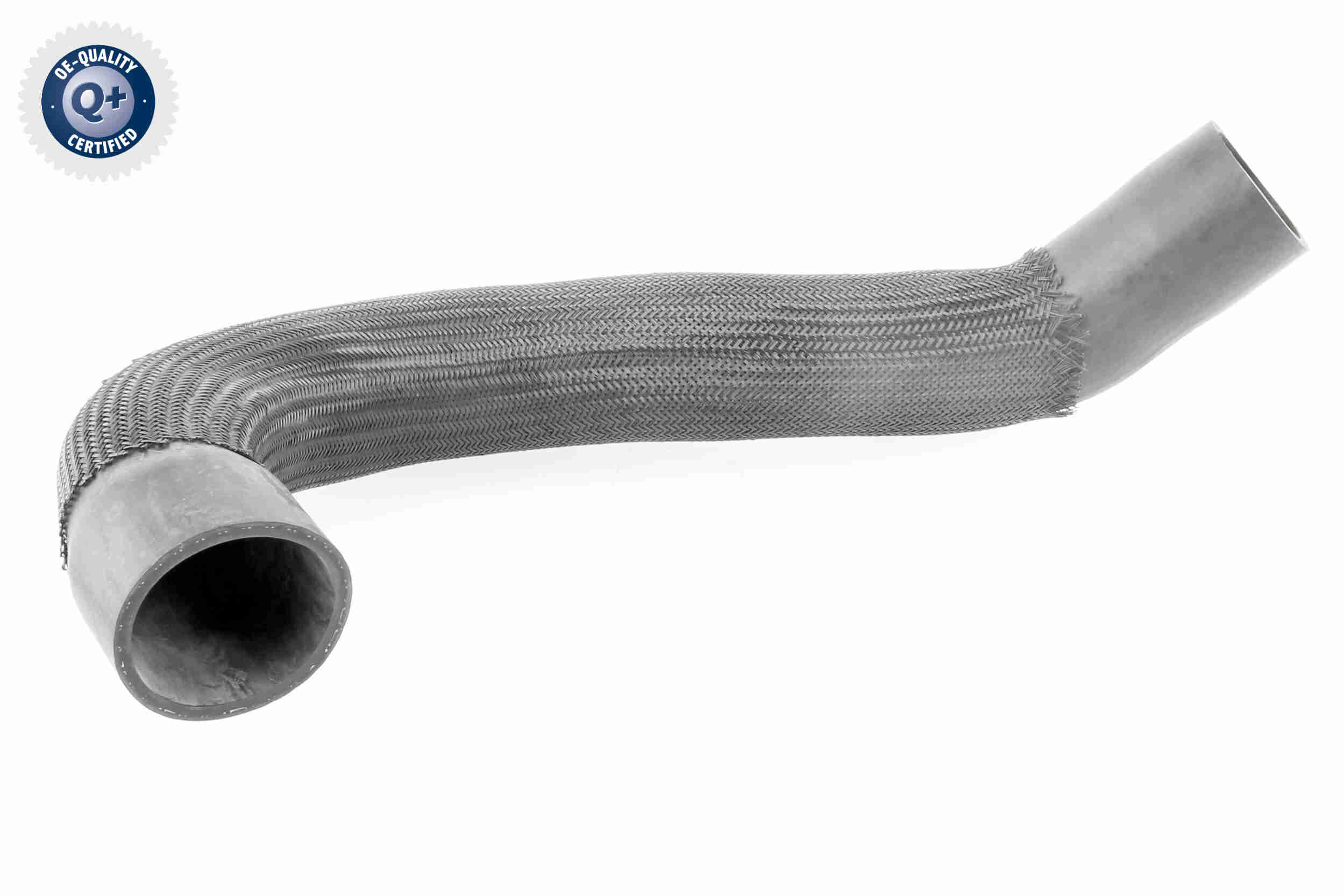 V10-3838