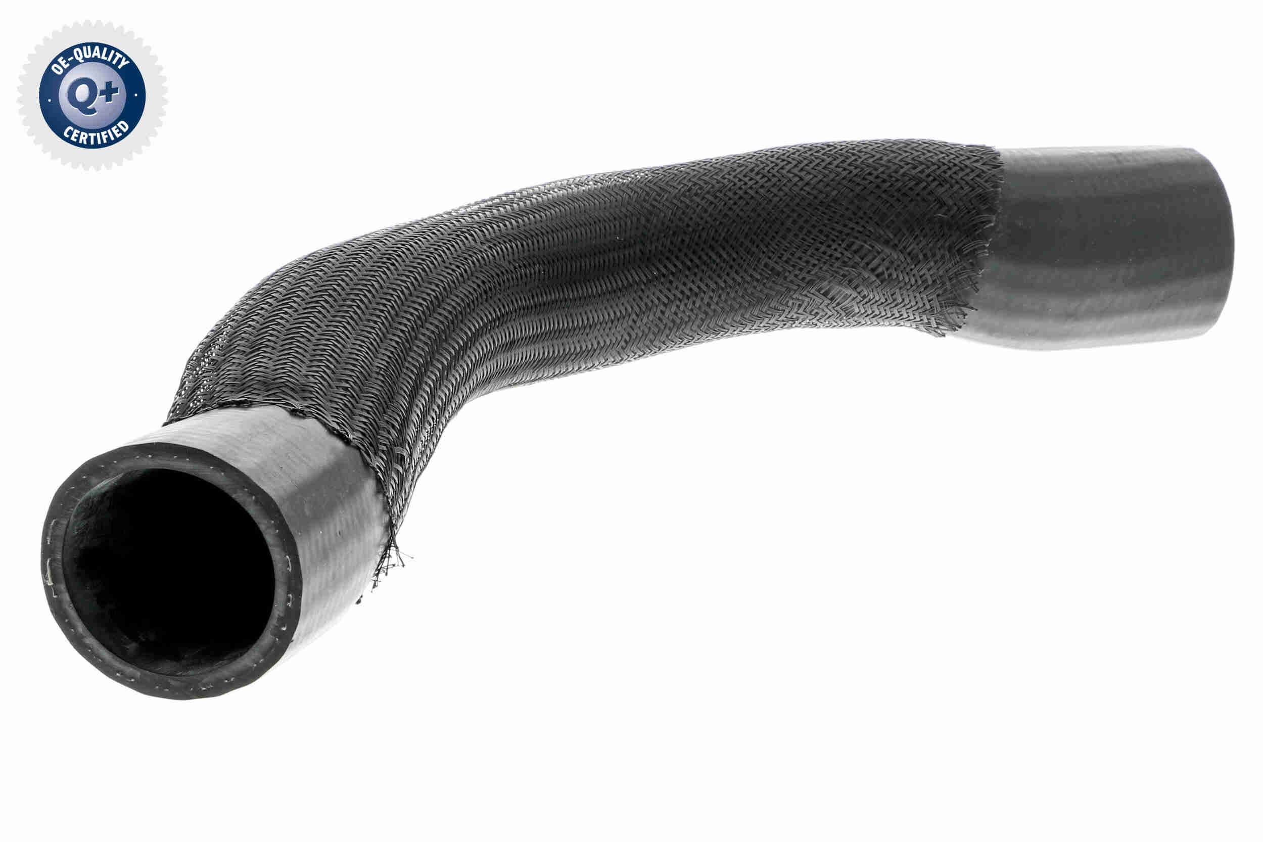 V10-3795