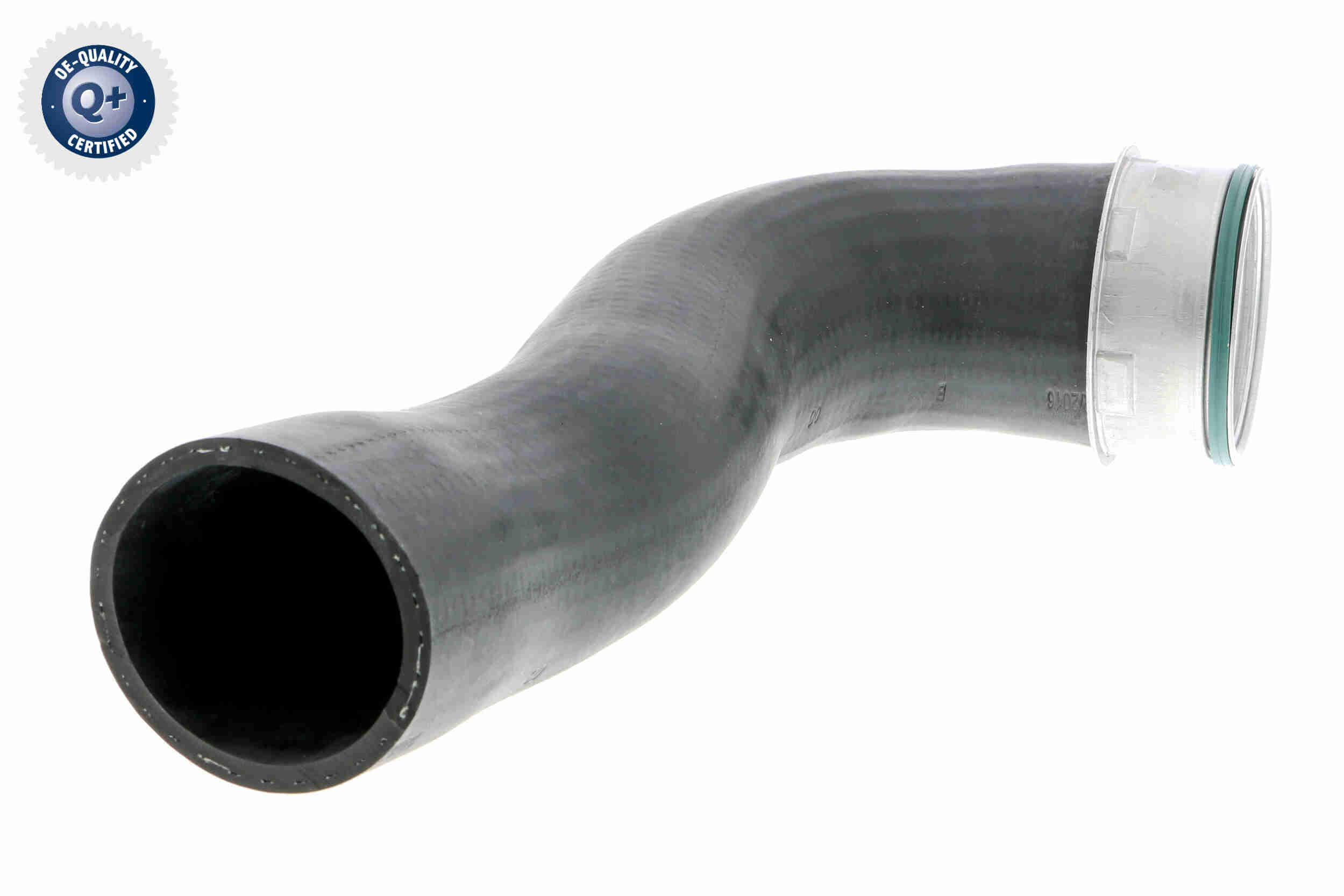V10-3769