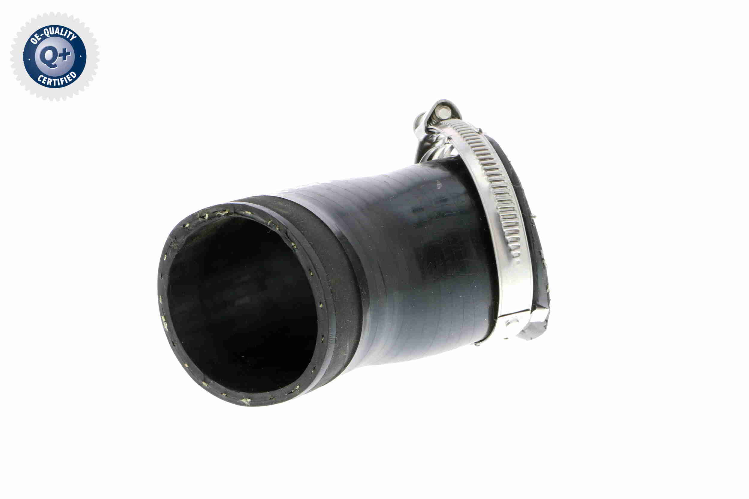 V10-2861