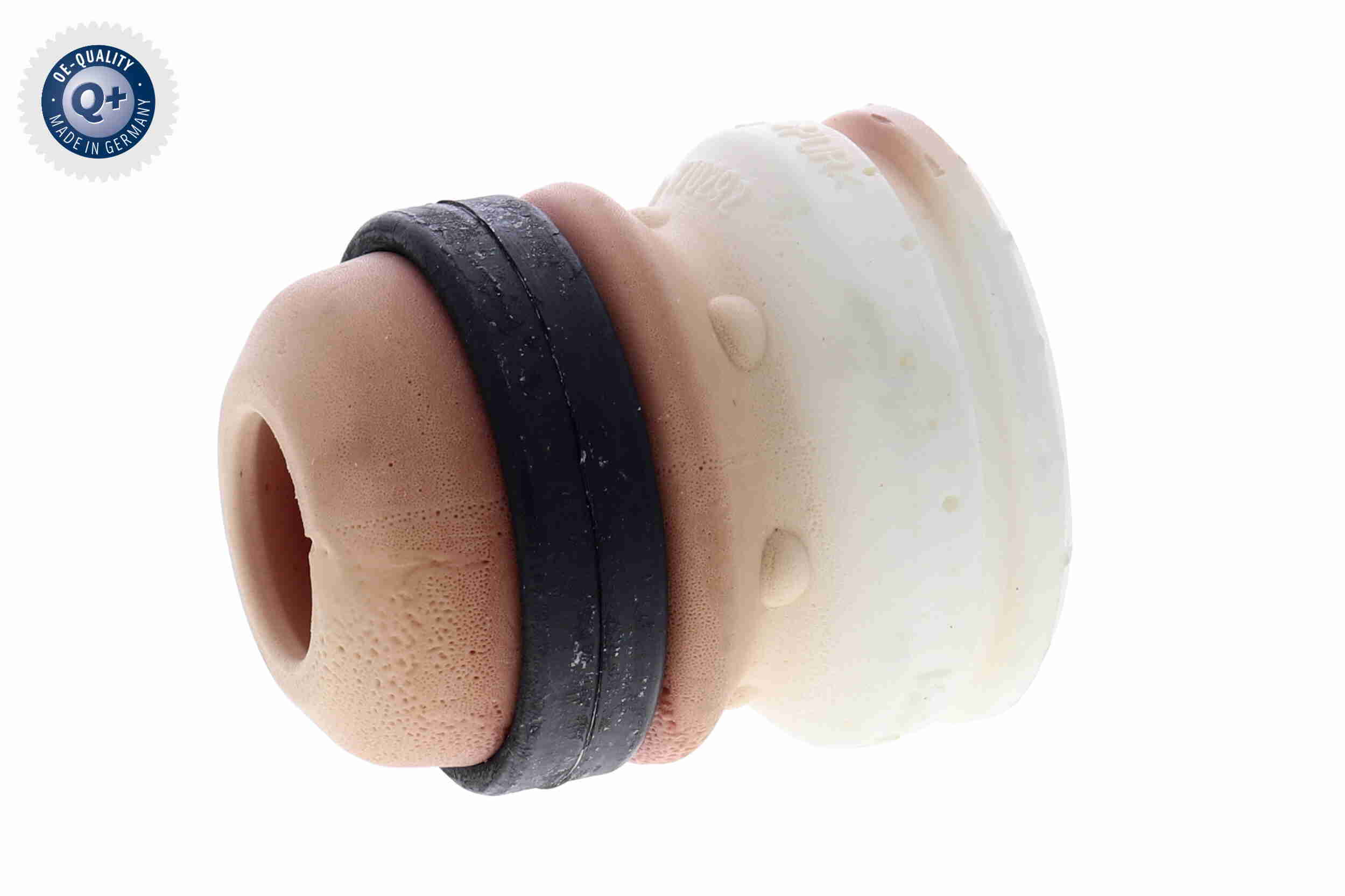 V25-0813