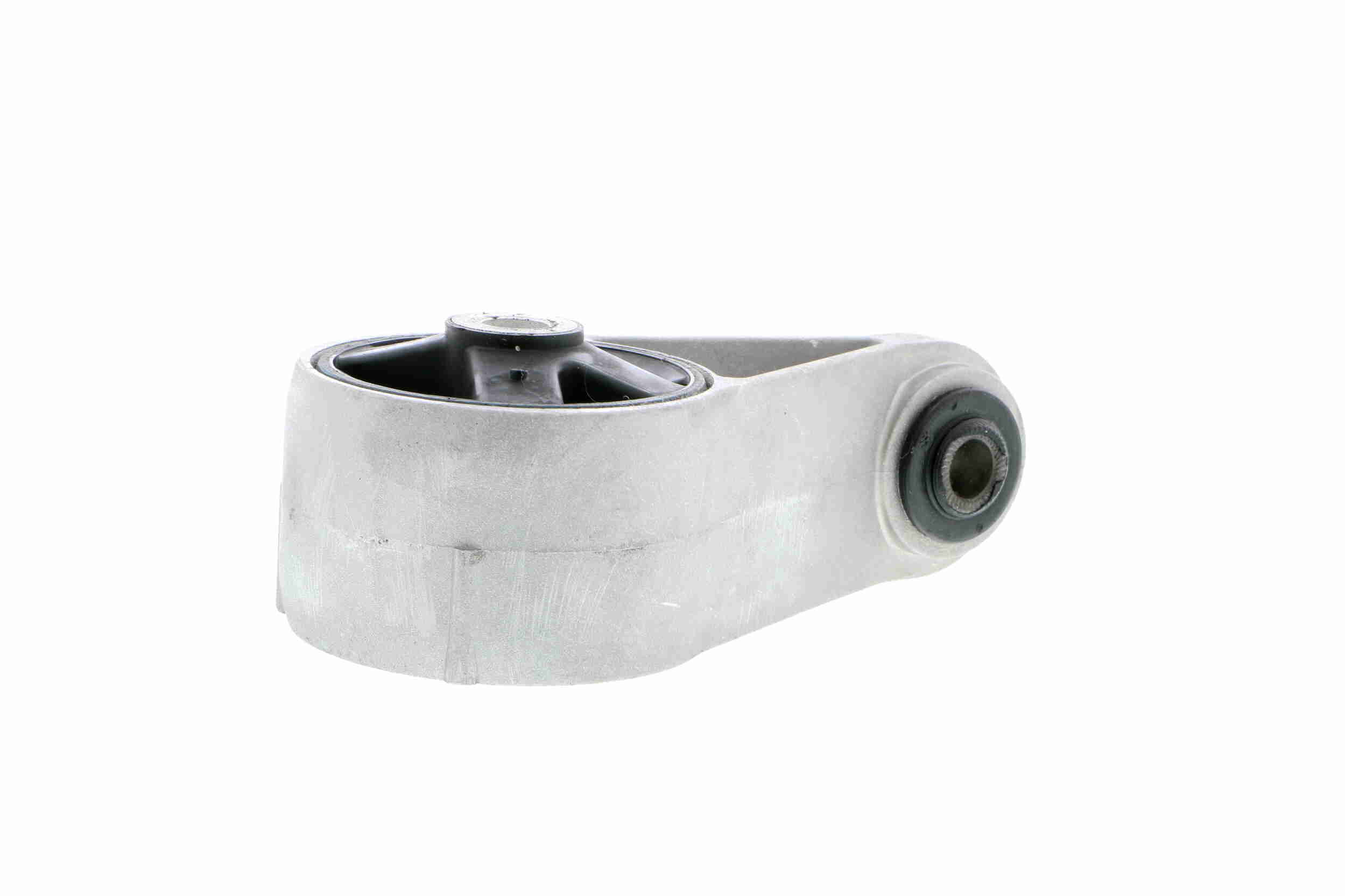 V20-0031