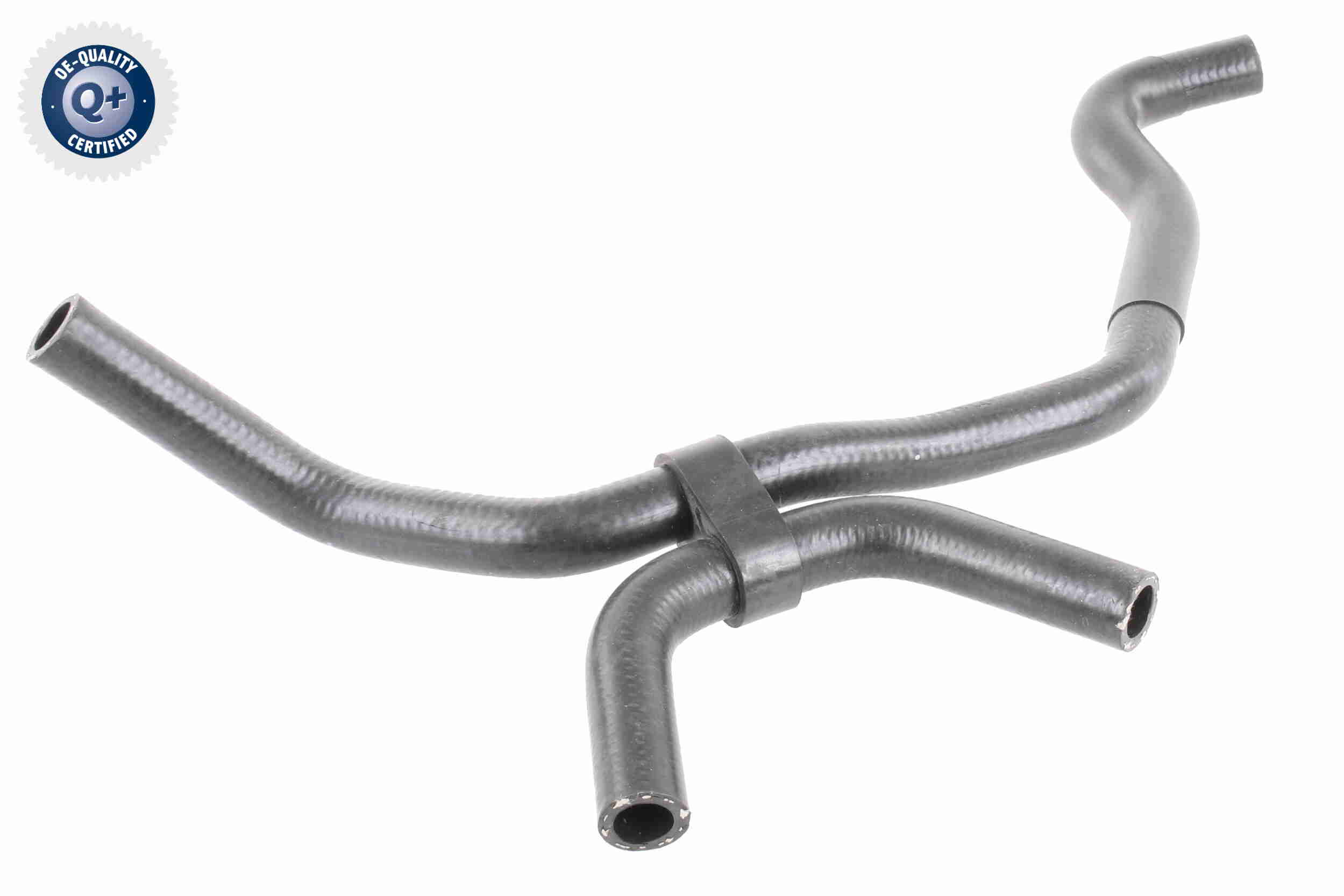 V10-4684