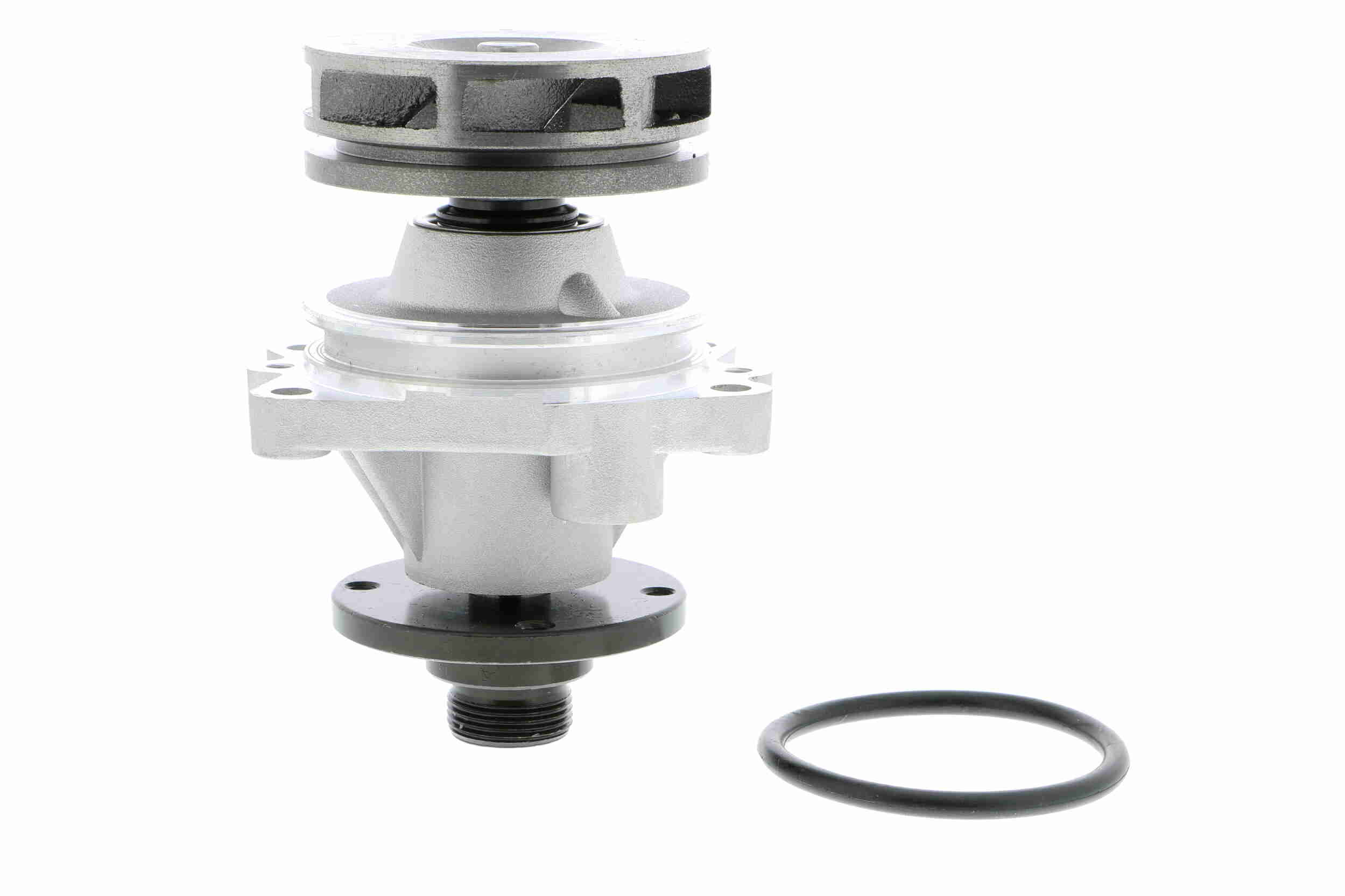 V20-50012