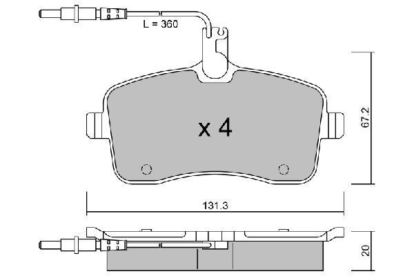 BPPE-1009