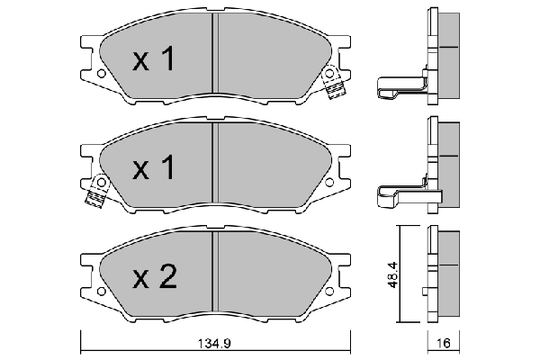 BPNI-1013
