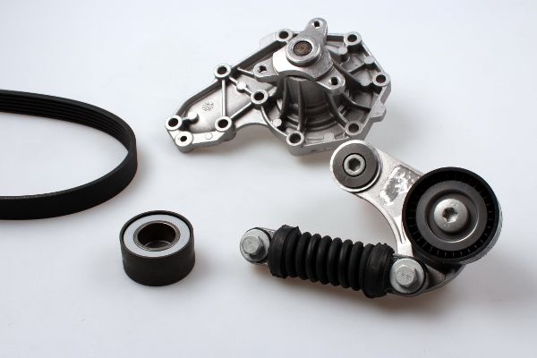 PK00542