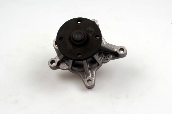 P7744