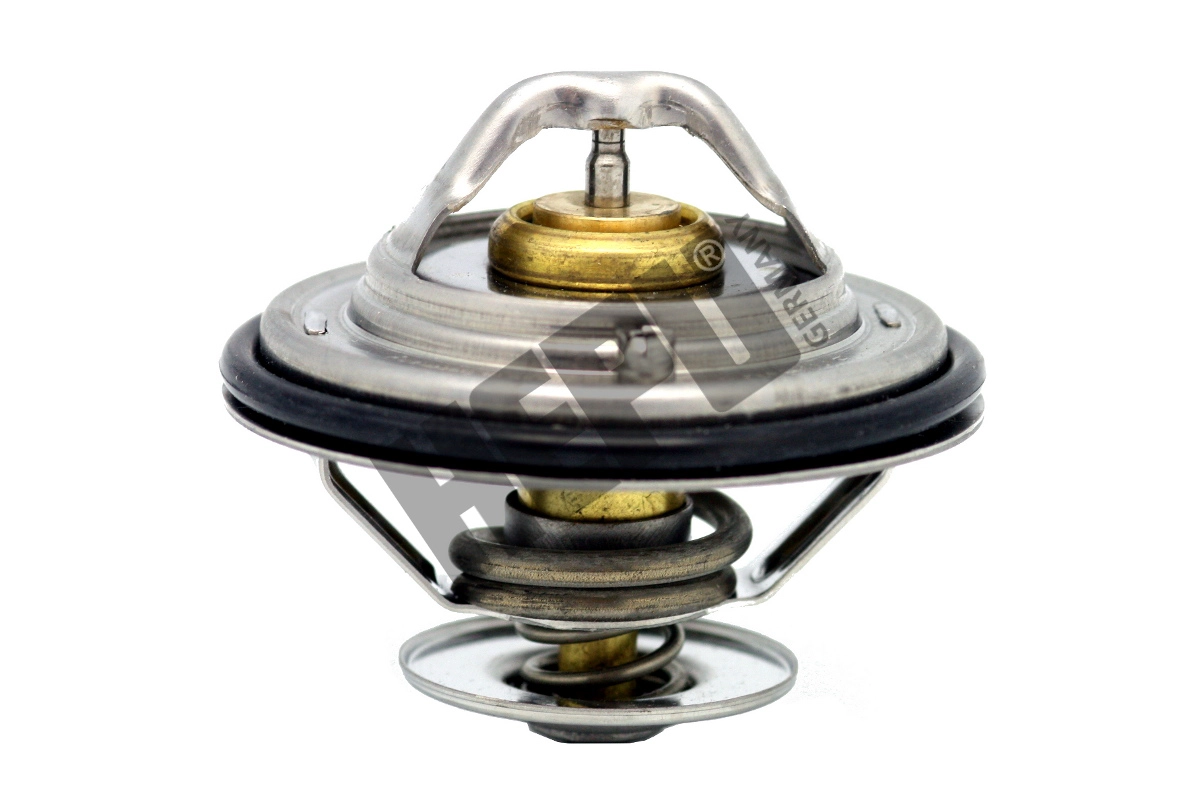 TM1312