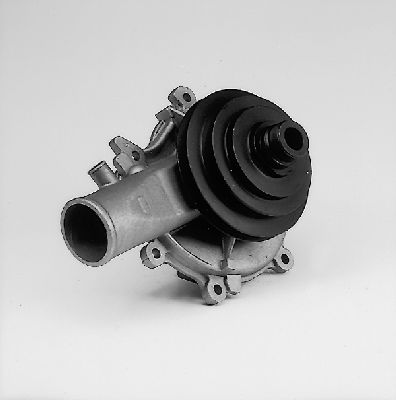 P311