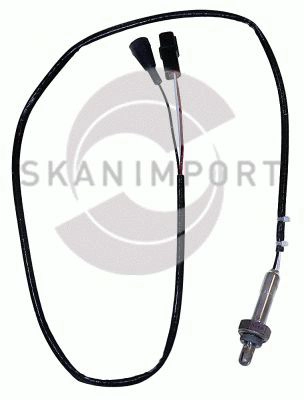 LS 5600