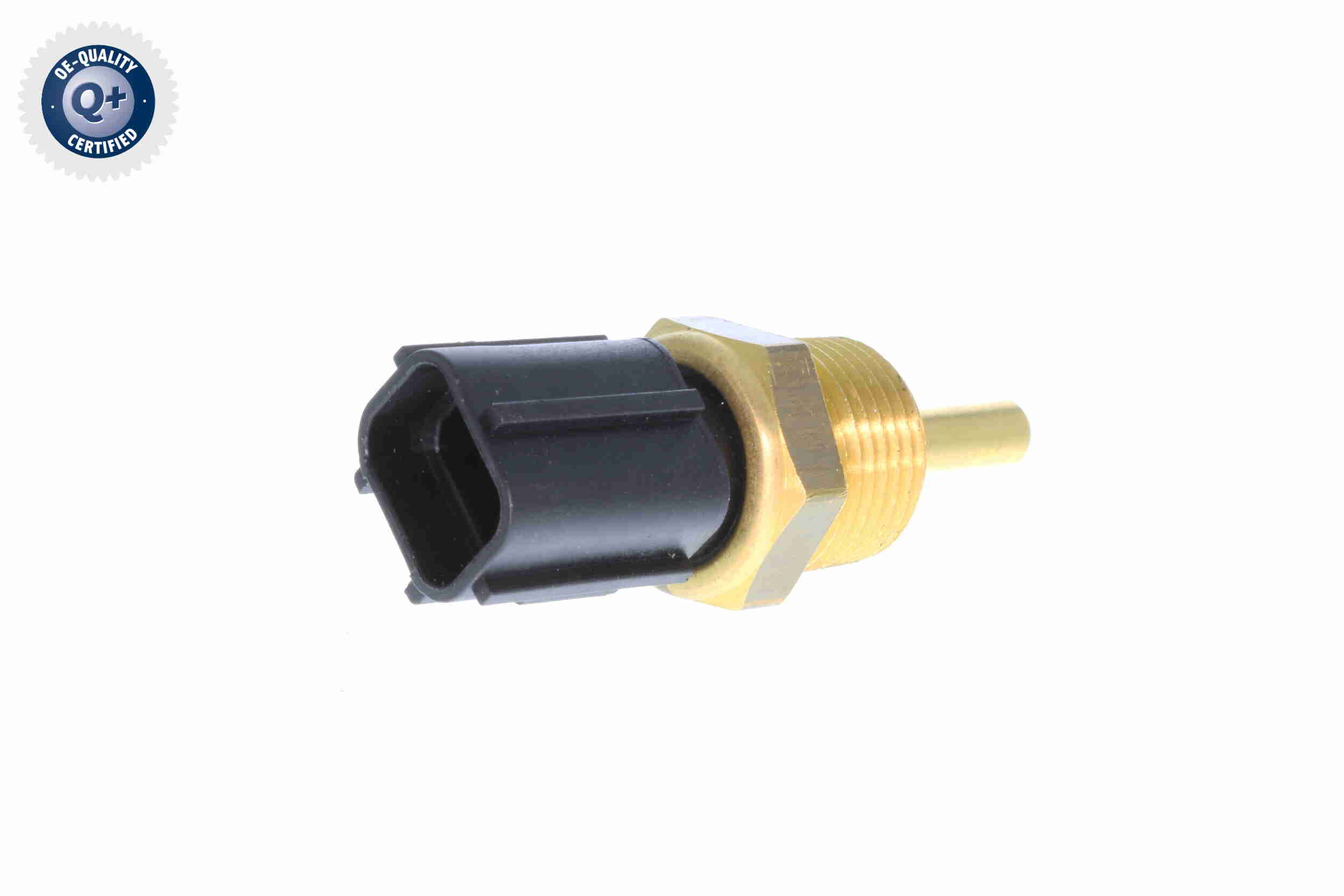 V37-72-0004