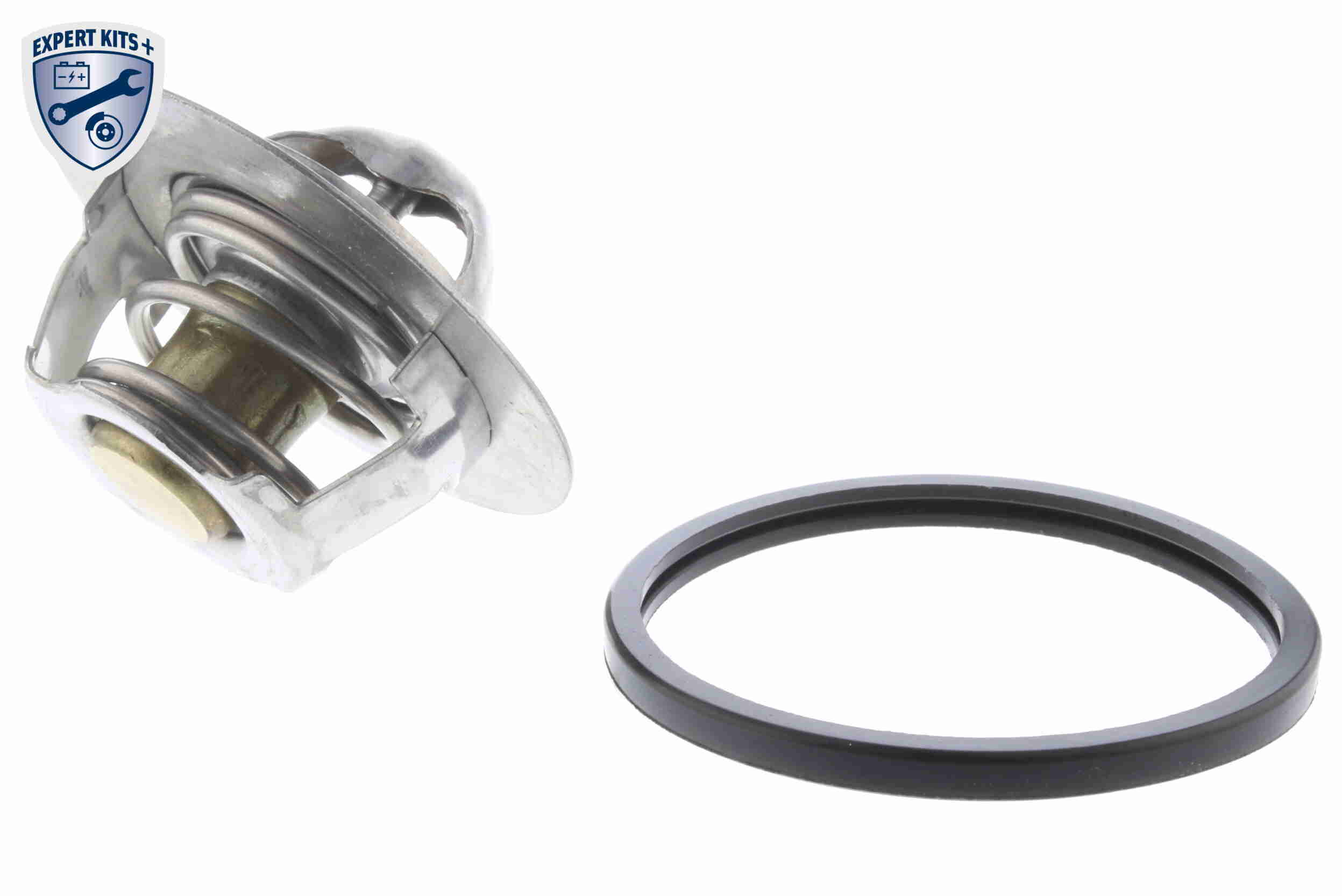 V42-99-0001