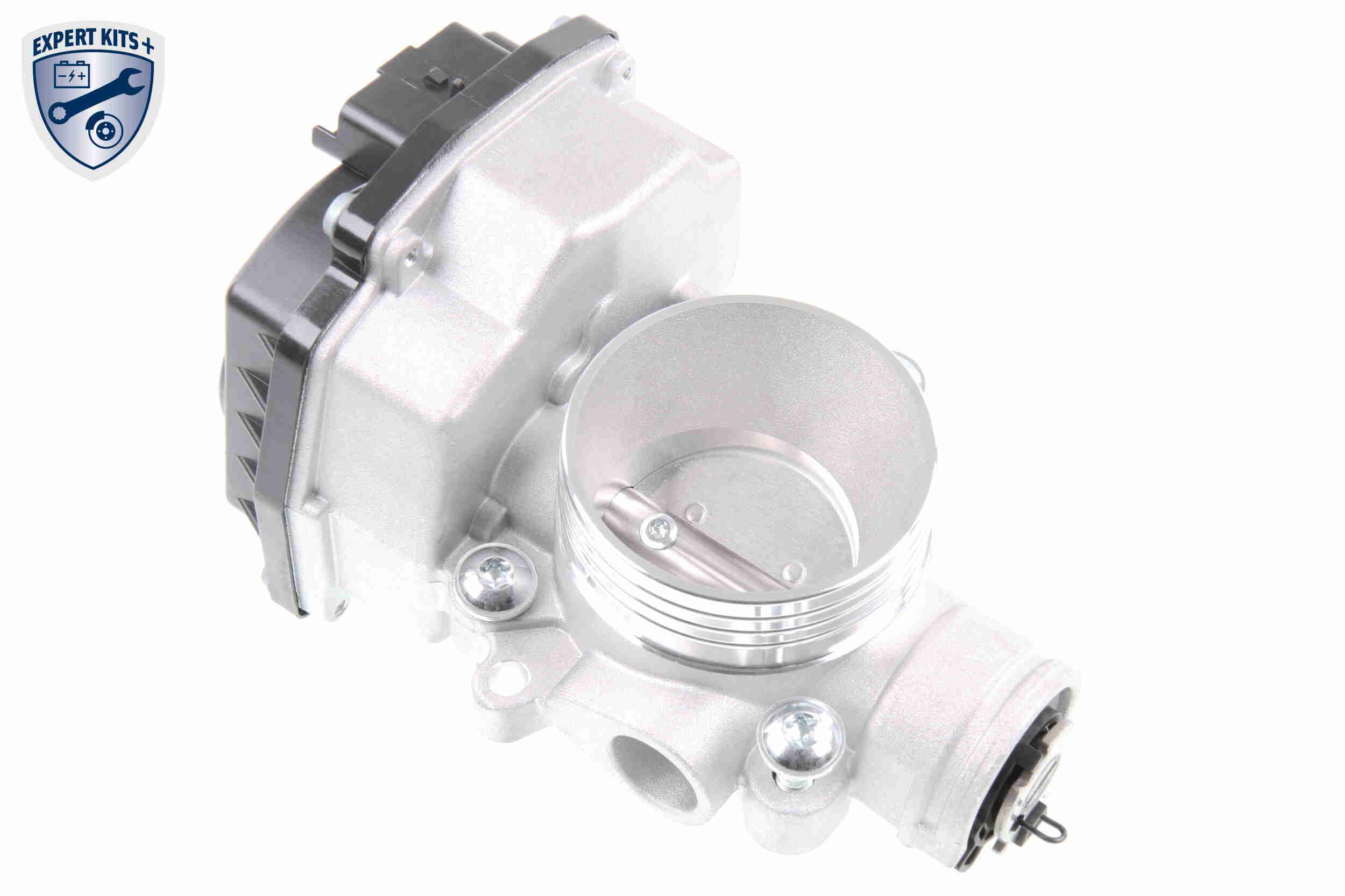 V42-81-0001