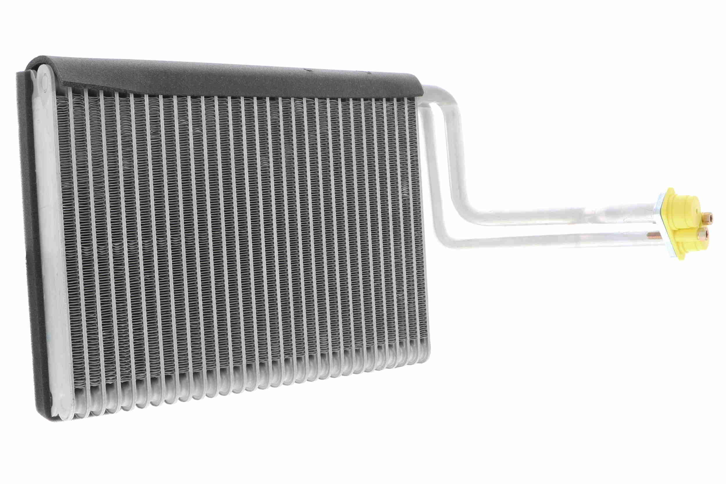 V20-65-0016