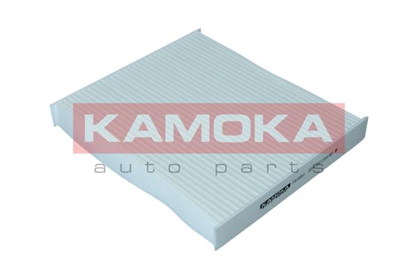 F420001