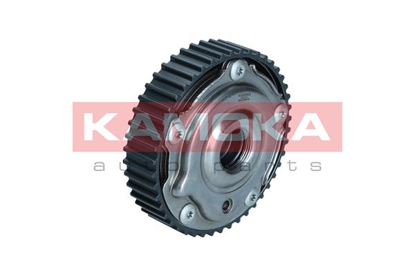 RV011