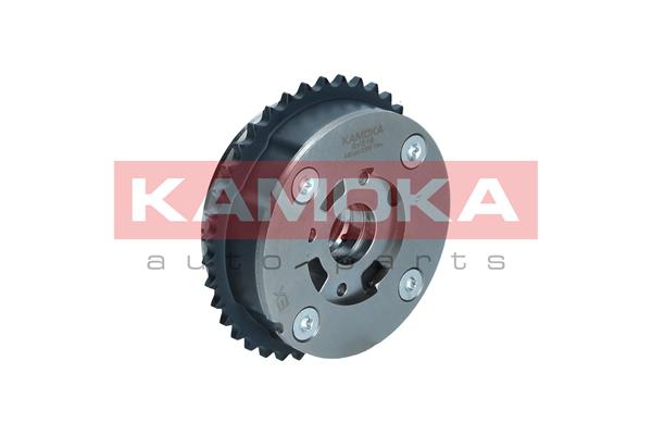 RV019