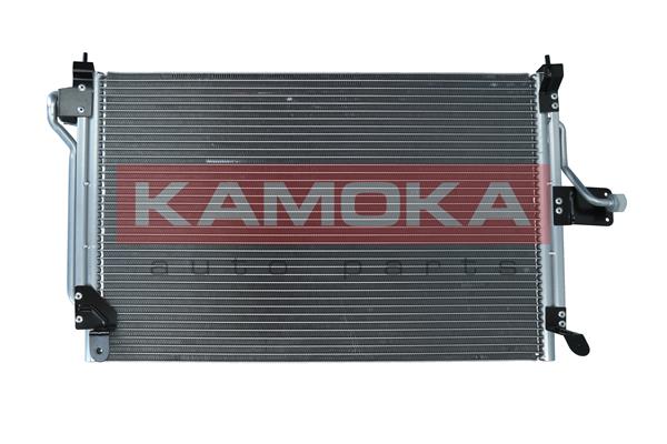 7800019