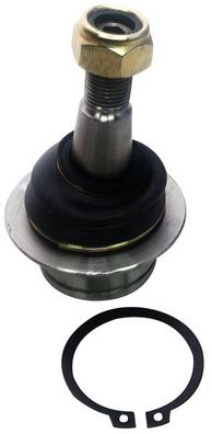 D120186