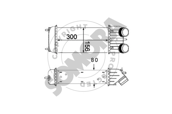 050545
