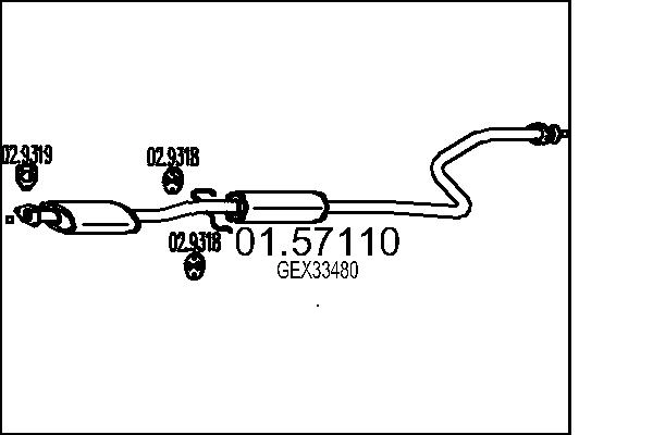 GEX33480
