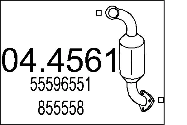 55596551