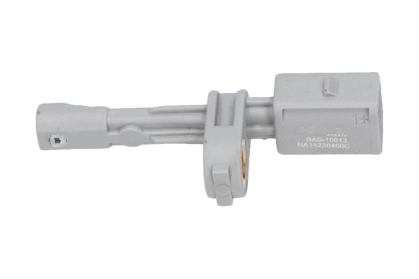BAS-10013