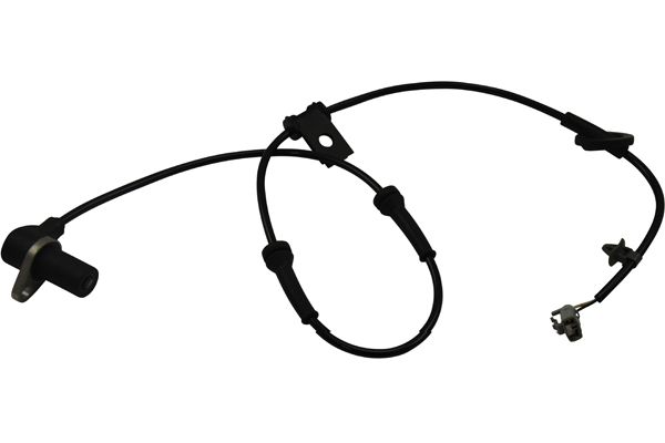 BAS-3031