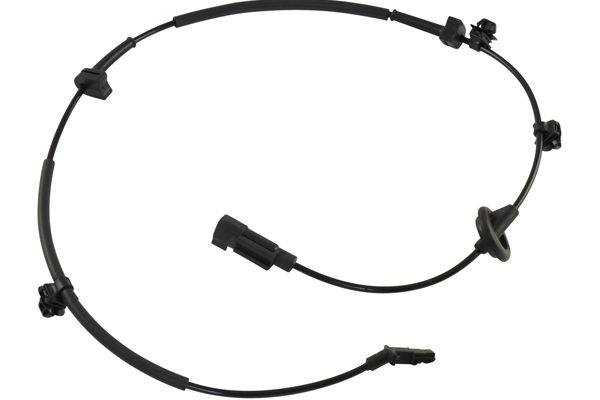 BAS-5519