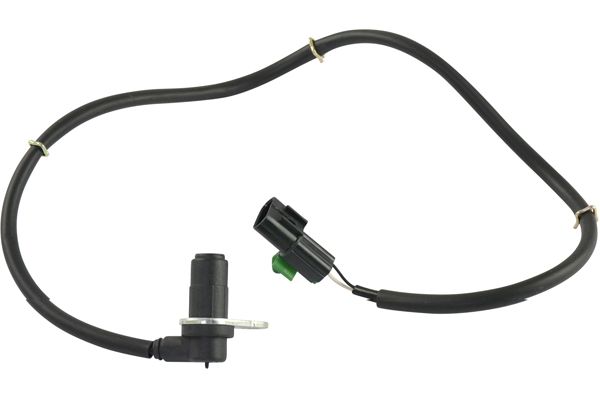 BAS-5545