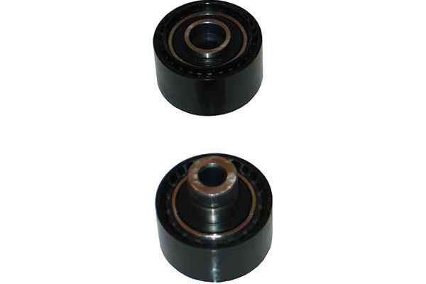 DIP-4501