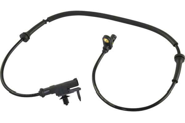 BAS-5538