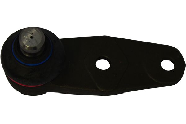 SBJ-6545