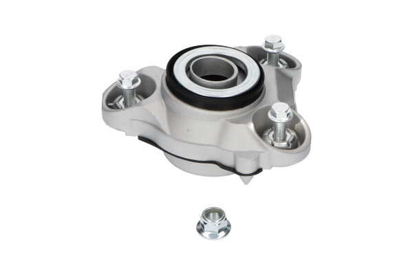 SSM-10079