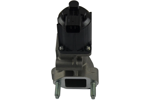 EEG-4002