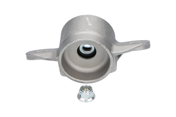 SSM-10052
